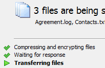 Trasferimento dei File Ricevuti